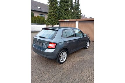 Skoda Fabia Gebrauchtwagen