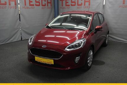 Ford Fiesta Gebrauchtwagen
