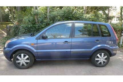 Ford Fusion Gebrauchtwagen