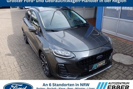 Ford Fiesta Gebrauchtwagen