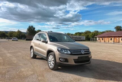 VW Tiguan Gebrauchtwagen