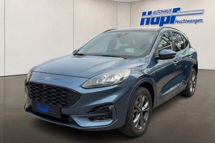 Ford Kuga Gebrauchtwagen