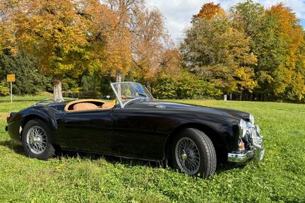 MG MGA Gebrauchtwagen