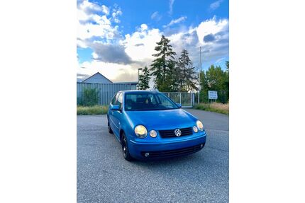VW Polo Gebrauchtwagen
