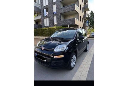 Fiat Panda Gebrauchtwagen