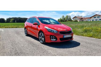 Kia ceed / Ceed Gebrauchtwagen