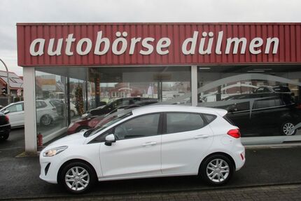 Ford Fiesta Gebrauchtwagen