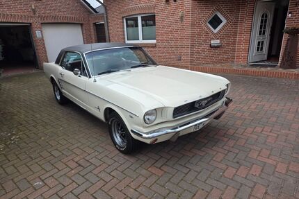 Ford Mustang Gebrauchtwagen
