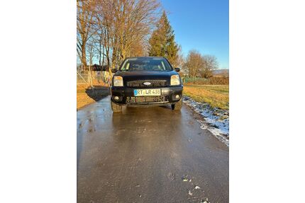 Ford Fusion Gebrauchtwagen