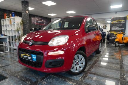 Fiat Panda Gebrauchtwagen