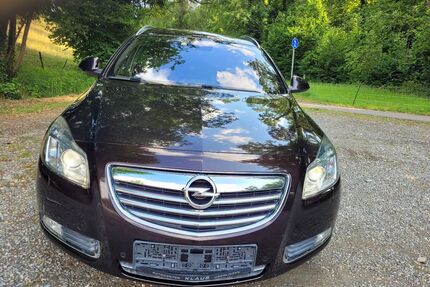 Opel Insignia Gebrauchtwagen