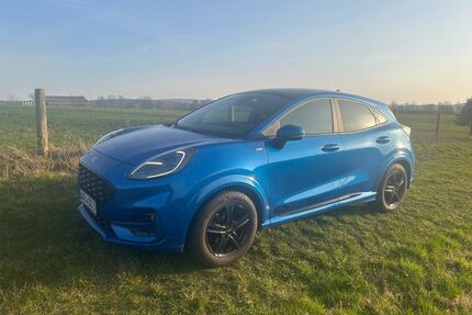 Ford Puma Gebrauchtwagen