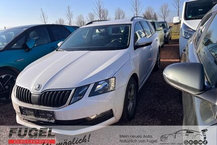 Skoda Octavia Gebrauchtwagen