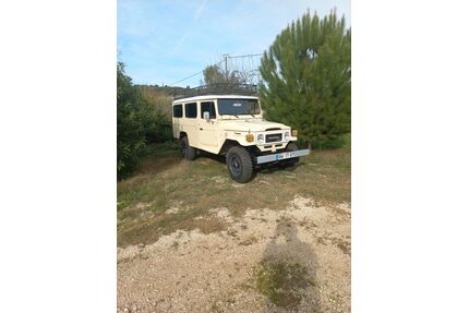 Toyota Land Cruiser Gebrauchtwagen