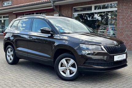Skoda Karoq Gebrauchtwagen