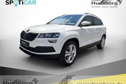 Skoda Karoq Gebrauchtwagen