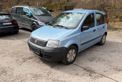 Fiat Panda Gebrauchtwagen