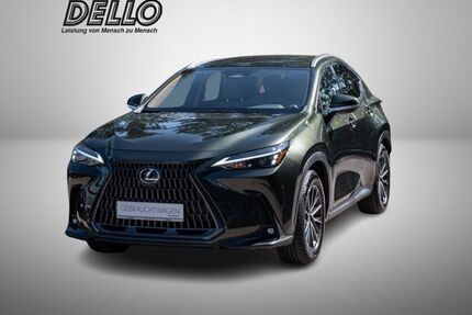 Lexus NX 450h Gebrauchtwagen