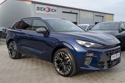 Cupra Terramar Gebrauchtwagen