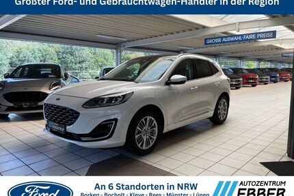 Ford Kuga Gebrauchtwagen