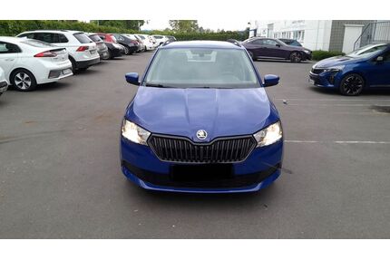 Skoda Fabia Gebrauchtwagen