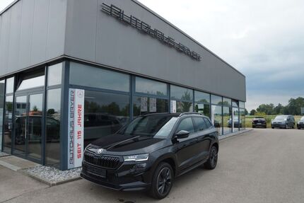 Skoda Karoq Gebrauchtwagen