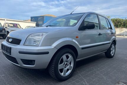 Ford Fusion Gebrauchtwagen
