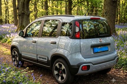Fiat New Panda Gebrauchtwagen
