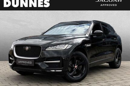 Jaguar F-Pace Gebrauchtwagen