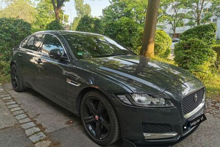 Jaguar XF Gebrauchtwagen