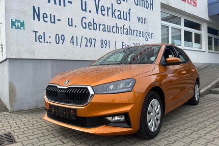 Skoda Fabia Gebrauchtwagen