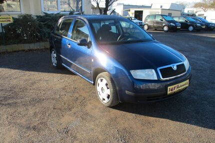 Skoda Fabia Gebrauchtwagen