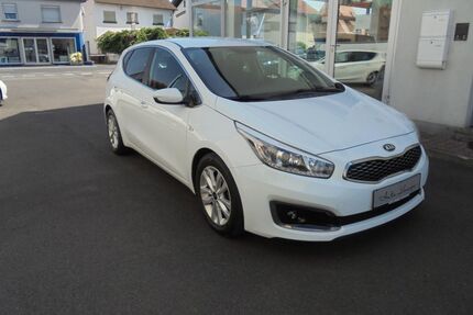 Kia ceed / Ceed Gebrauchtwagen