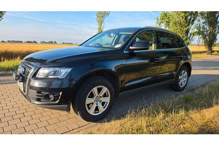 Audi Q5 Gebrauchtwagen