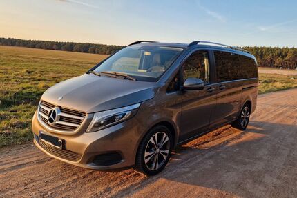 Mercedes-Benz V 250 Gebrauchtwagen