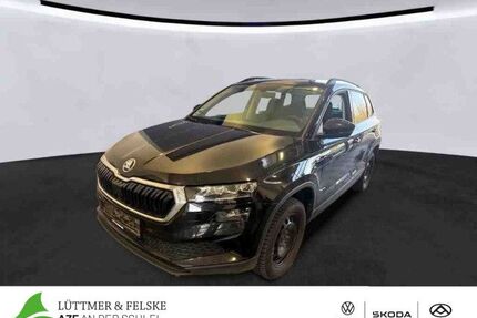 Skoda Karoq Gebrauchtwagen
