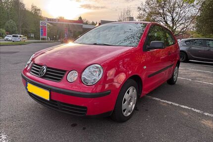 VW Polo Gebrauchtwagen