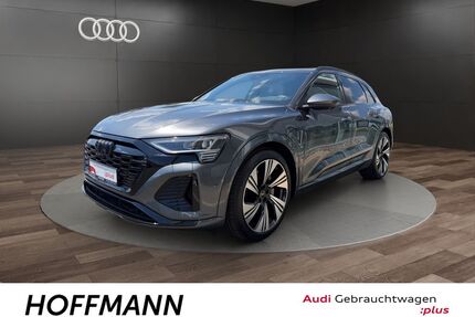 Audi Q8 e-tron Gebrauchtwagen