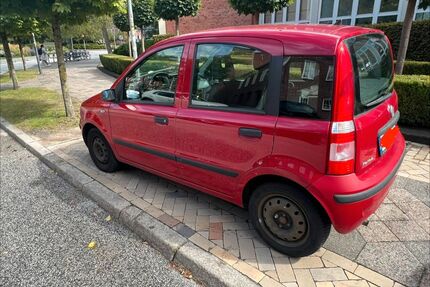 Fiat Panda Gebrauchtwagen