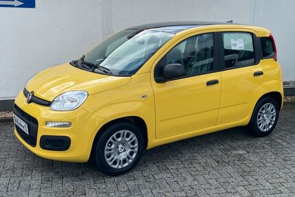 Fiat Panda Gebrauchtwagen
