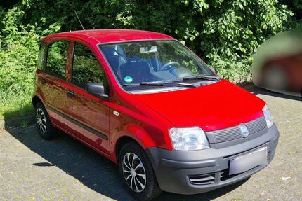 Fiat Panda Gebrauchtwagen