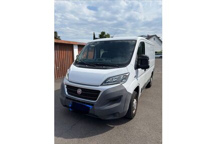 Fiat Ducato Gebrauchtwagen