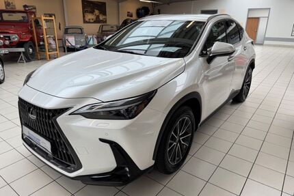 Lexus NX 450h Gebrauchtwagen
