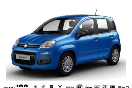 Fiat Panda Gebrauchtwagen