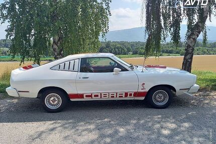 Ford Mustang Gebrauchtwagen