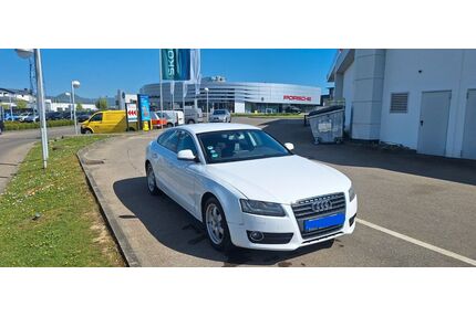 Audi A5 Gebrauchtwagen