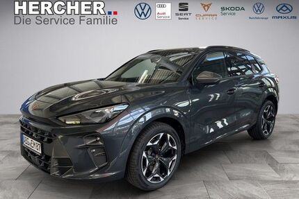 Cupra Terramar Gebrauchtwagen