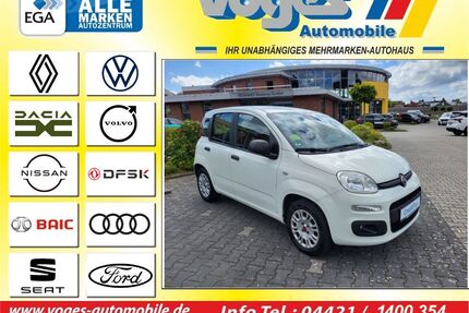 Fiat Panda Gebrauchtwagen