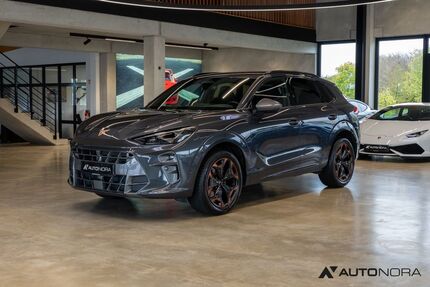 Cupra Terramar Gebrauchtwagen