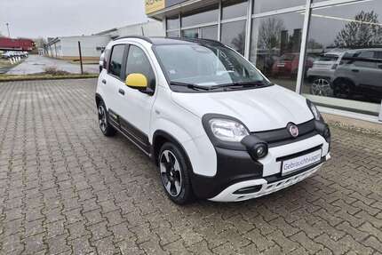 Fiat Panda Gebrauchtwagen